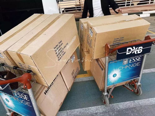 迪拜華人為我市捐贈(zèng)4.4萬只口罩